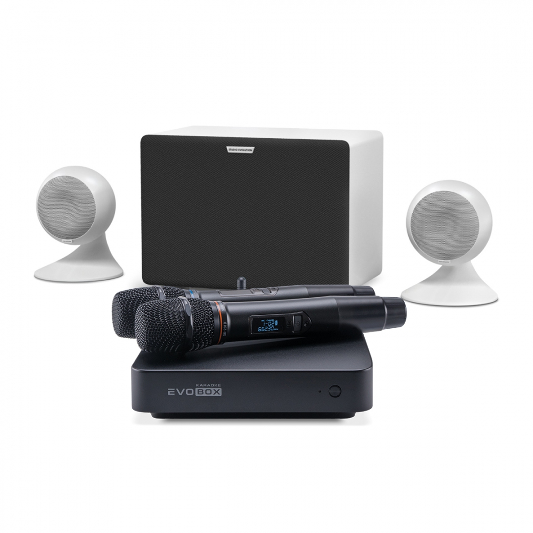караоке-комплект EVOBOX Classic + EvoSound Sphere 2.1 в Люберцах