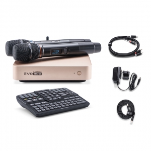 EVOBOX Plus караоке-система для дома в Люберцах